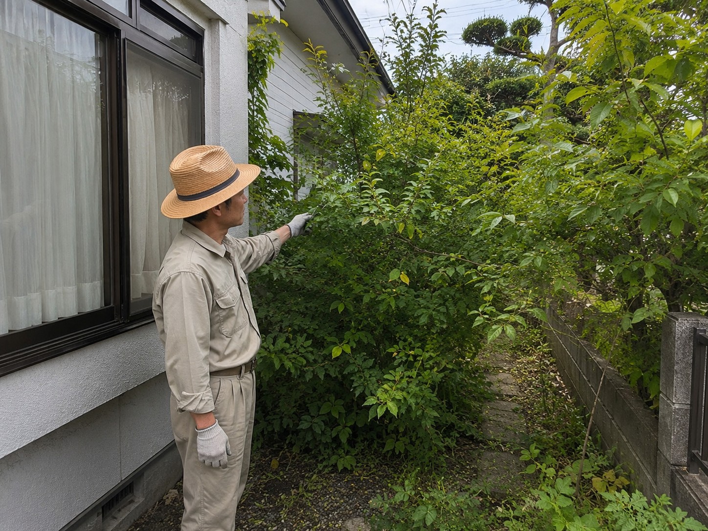枝が伸びて窓にかかった作業前の庭木(イメージ)
