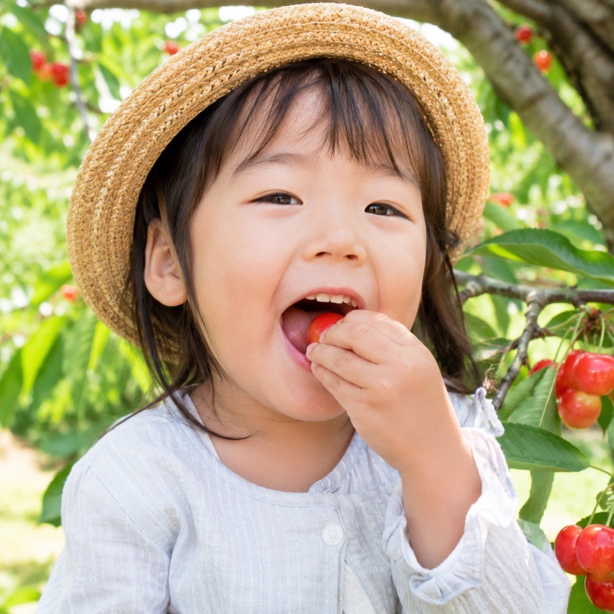 採ったさくらんぼを口に運ぶ子ども（イメージ）