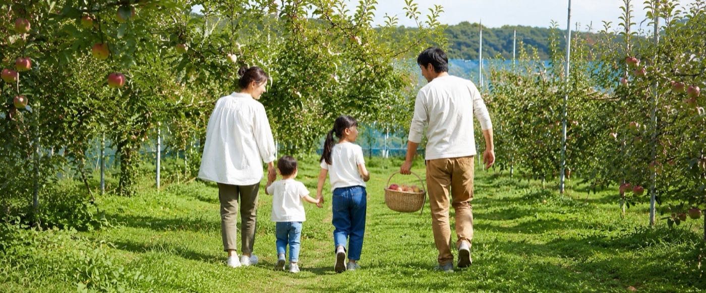 収穫かごを手に果樹園を歩く家族（イメージ）