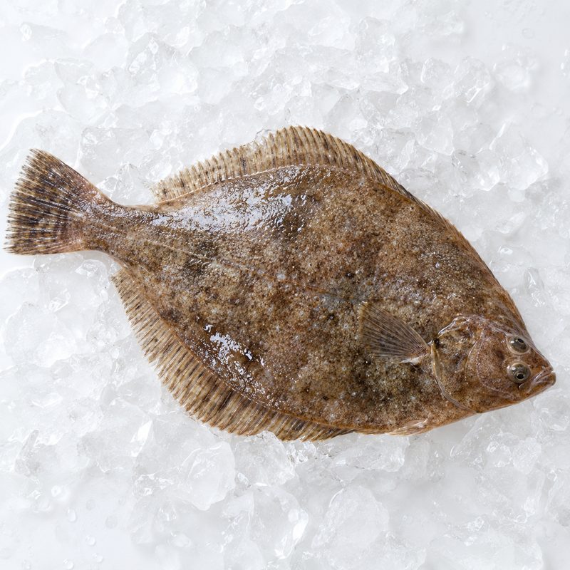 氷の上のカレイ(掲載イメージ)